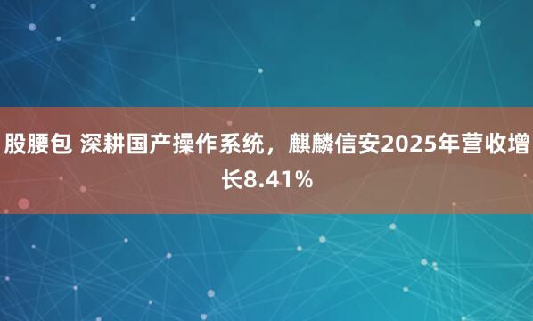 股腰包 深耕国产操作系统，麒麟信安2025年营收增长8.41%