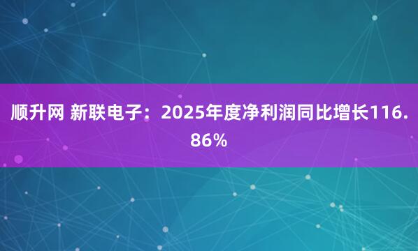 顺升网 新联电子：2025年度净利润同比增长116.86%