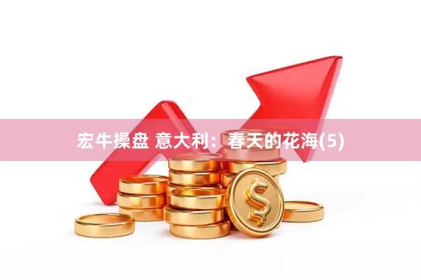宏牛操盘 意大利：春天的花海(5)
